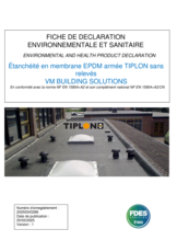 FDES